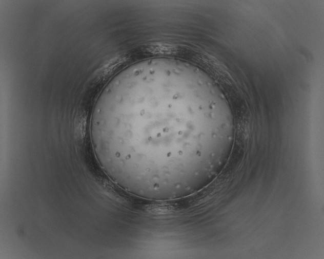 X0000116620652200912241754