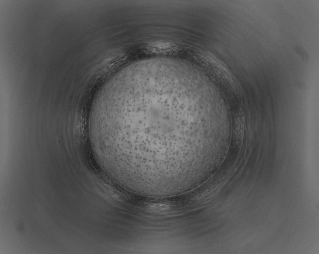 X0000116620653200912241754