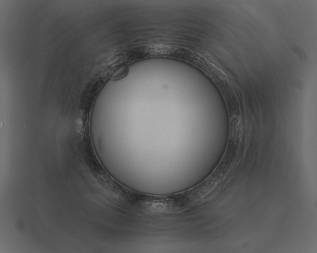 X0000116620655200912241754