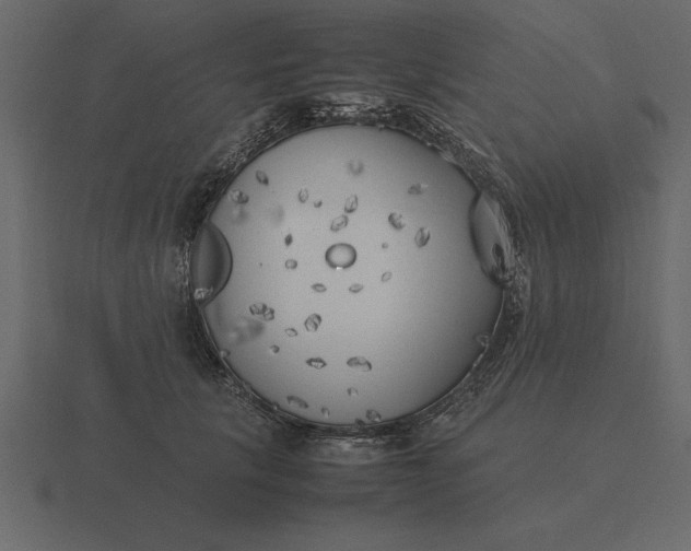 X0000116620657200912241754