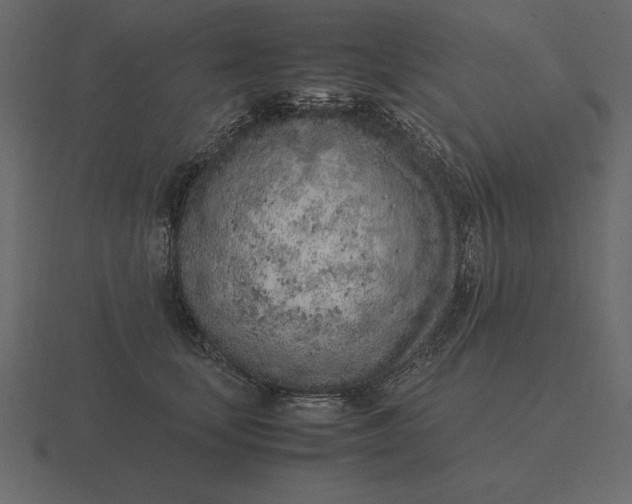 X0000116620659200912241754