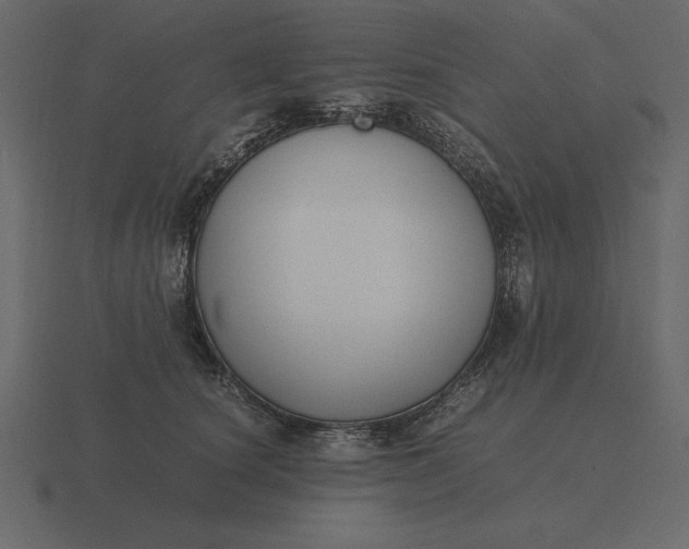 X0000116620660200912241754