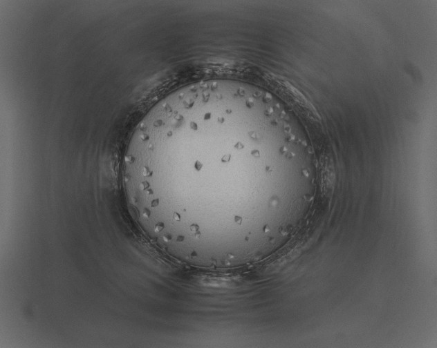 X0000116620661200912241754