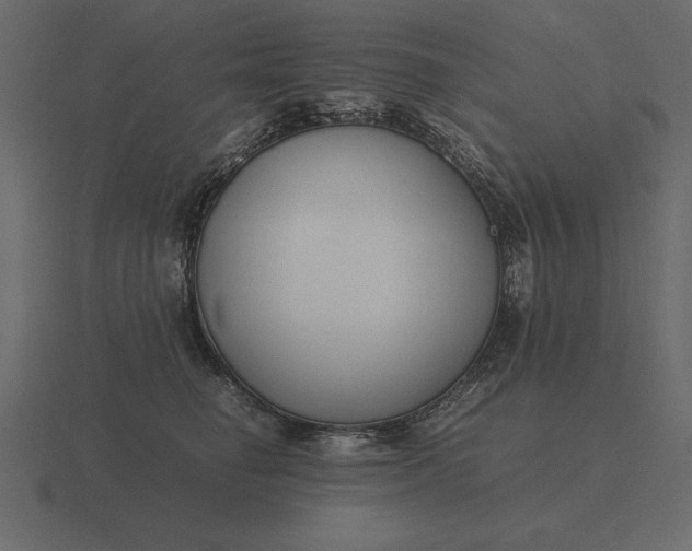 X0000116620662200912241754