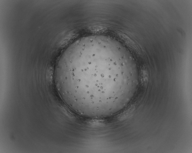 X0000116620664200912241754