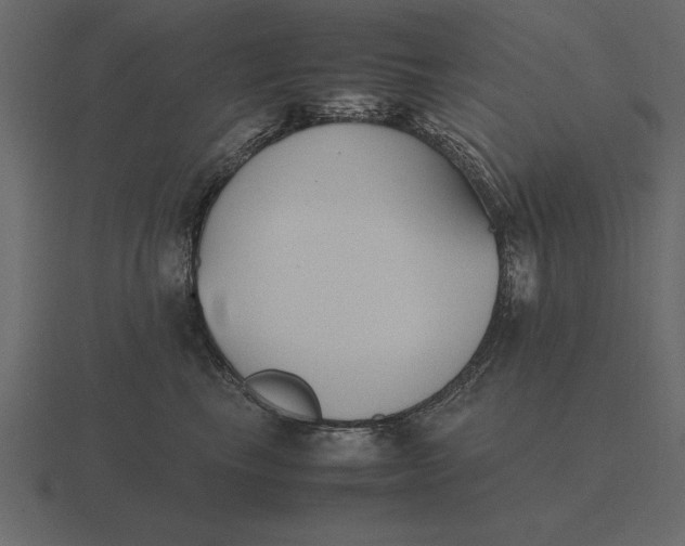 X0000116620665200912241754