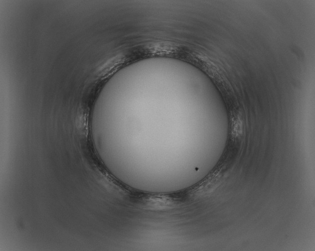 X0000116620666200912241754