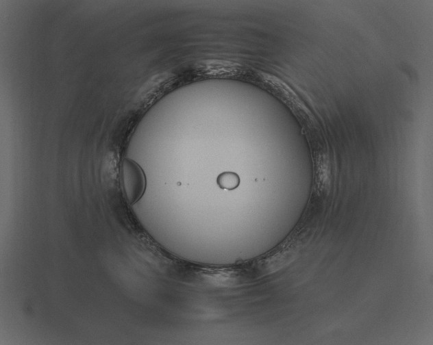 X0000116620667200912241754