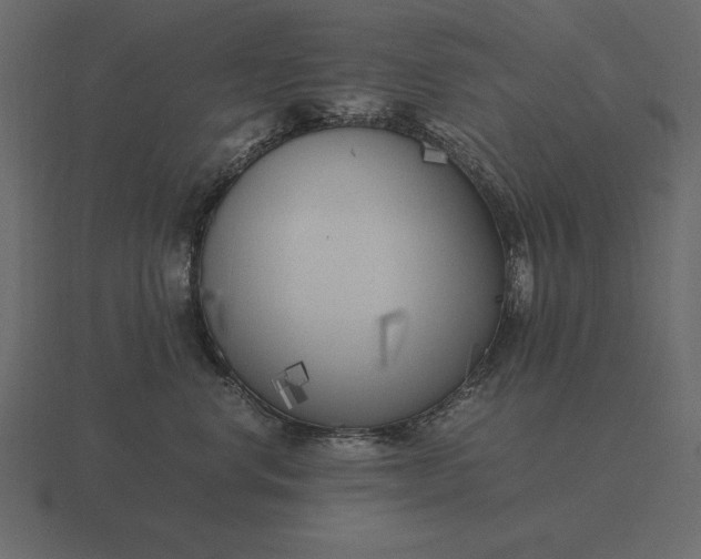 X0000116620668200912241754