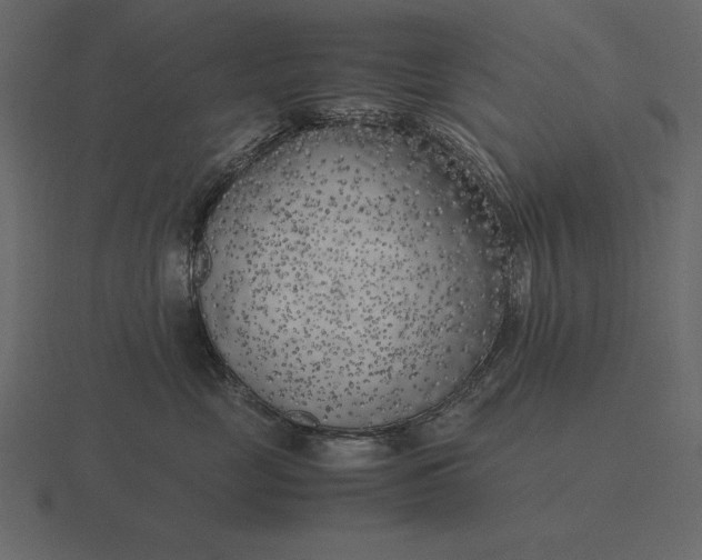 X0000116620669200912241754