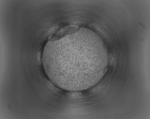 X0000116620670200912241754