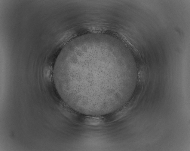 X0000116620671200912241754