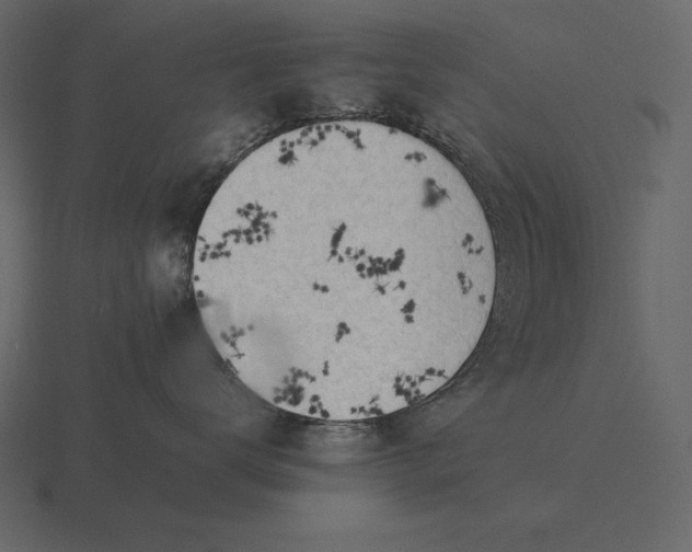 X0000116620672200912241754