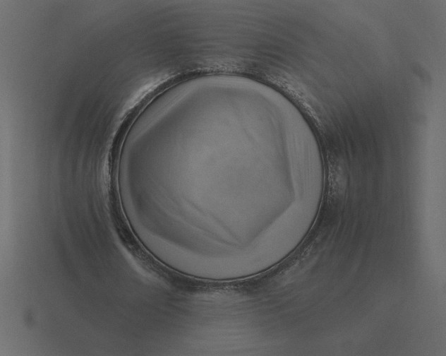 X0000116620674200912241753