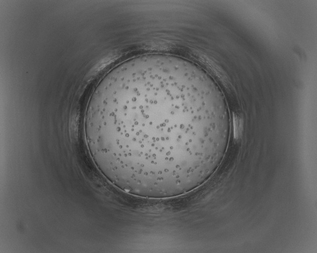 X0000116620675200912241753