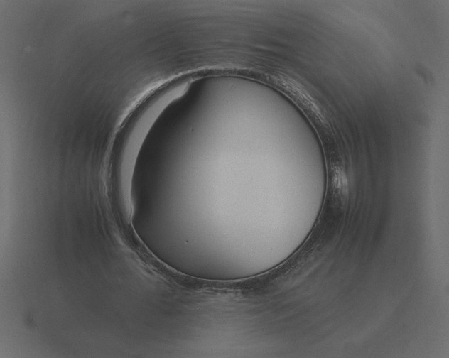 X0000116620676200912241753