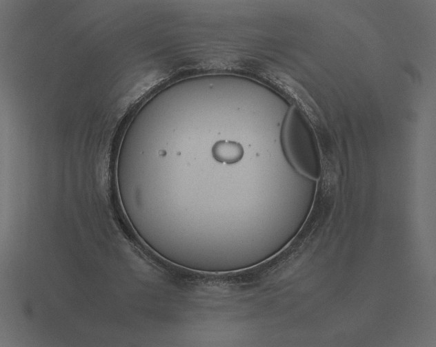 X0000116620677200912241753