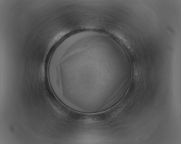 X0000116620678200912241753