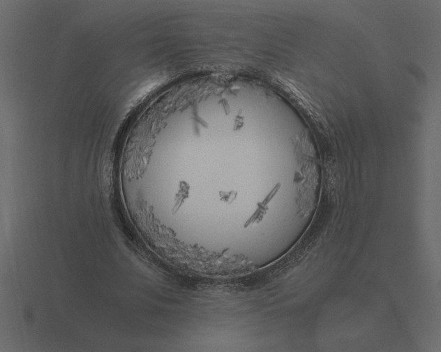 X0000116620679200912241753