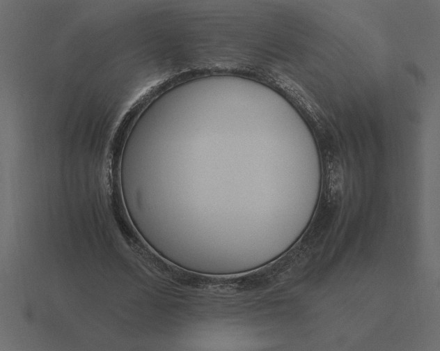 X0000116620680200912241753