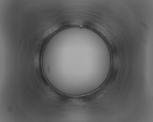 X0000116620681200912241753