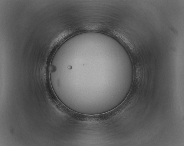 X0000116620682200912241753