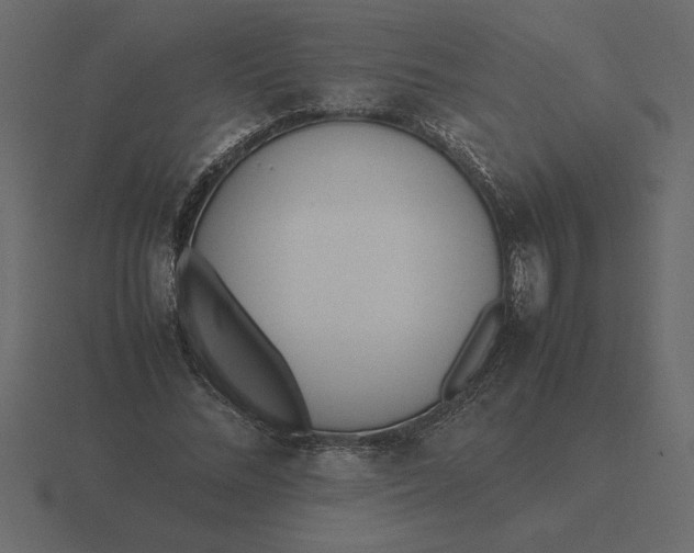 X0000116620684200912241753