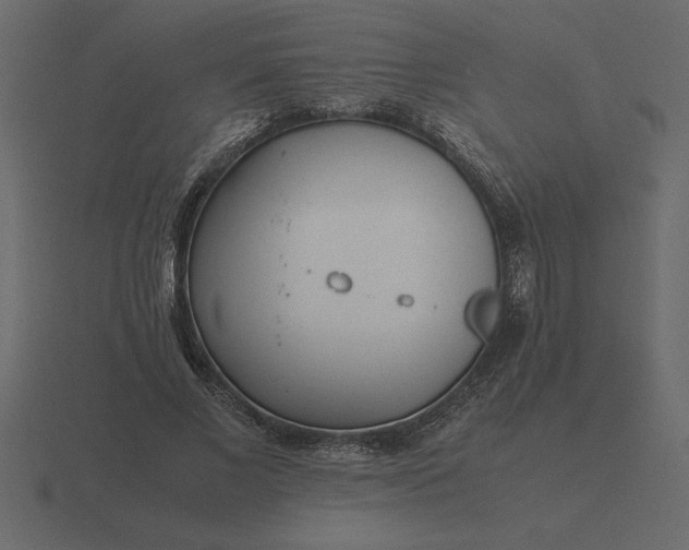 X0000116620685200912241753