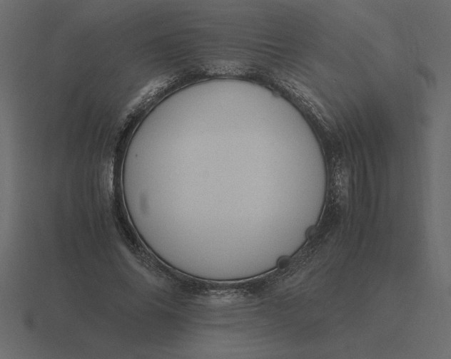 X0000116620686200912241753