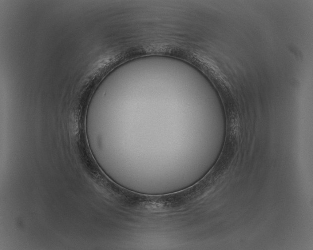 X0000116620687200912241753