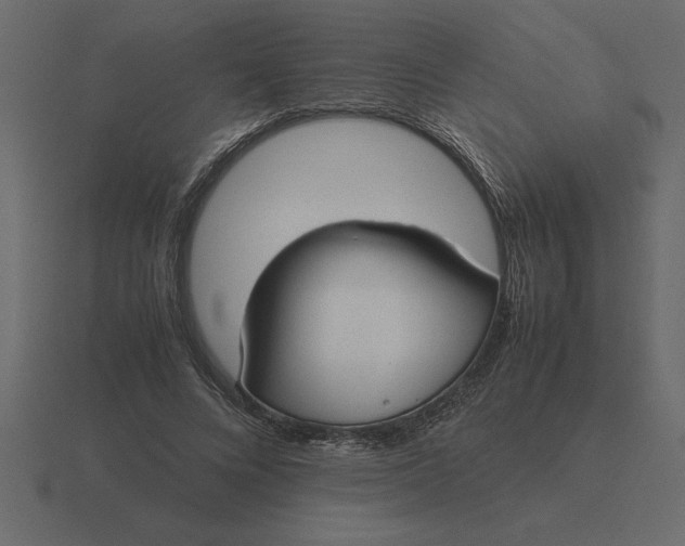 X0000116620688200912241753