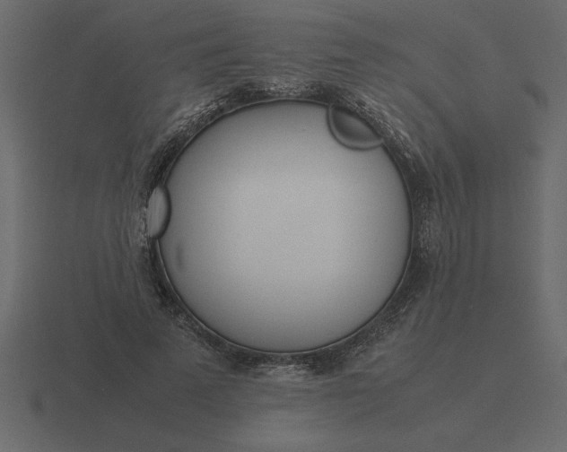 X0000116620689200912241753