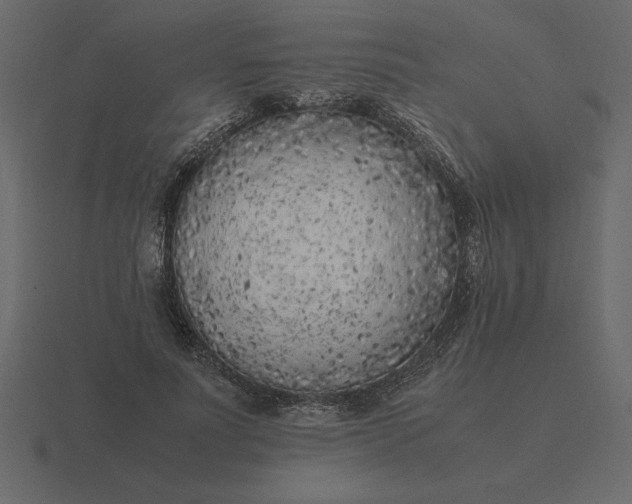 X0000116620691200912241753