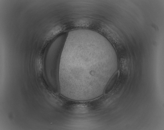 X0000116620692200912241753