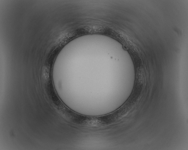 X0000116620695200912241753