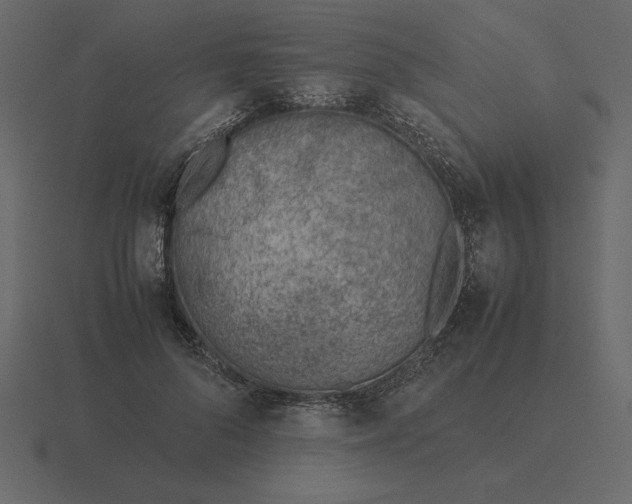 X0000116620696200912241753