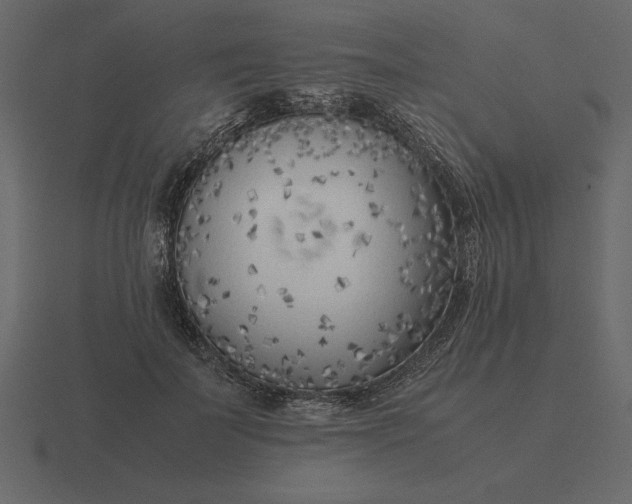 X0000116620699200912241753