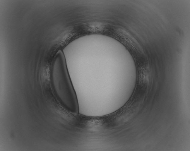 X0000116620700200912241753