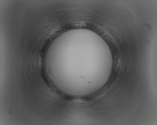 X0000116620704200912241753