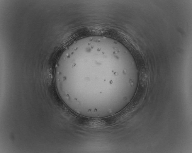 X0000116620707200912241753