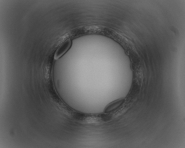 X0000116620708200912241753