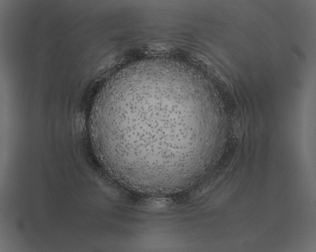 X0000116620711200912241753