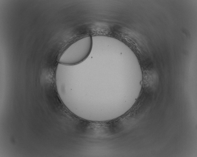 X0000116620713200912241753