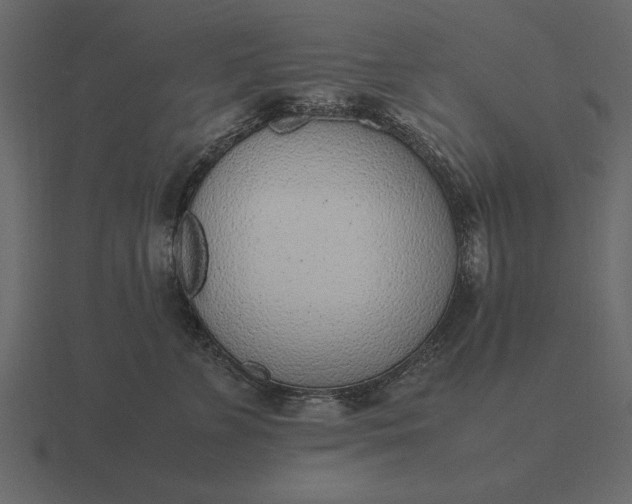 X0000116620715200912241753