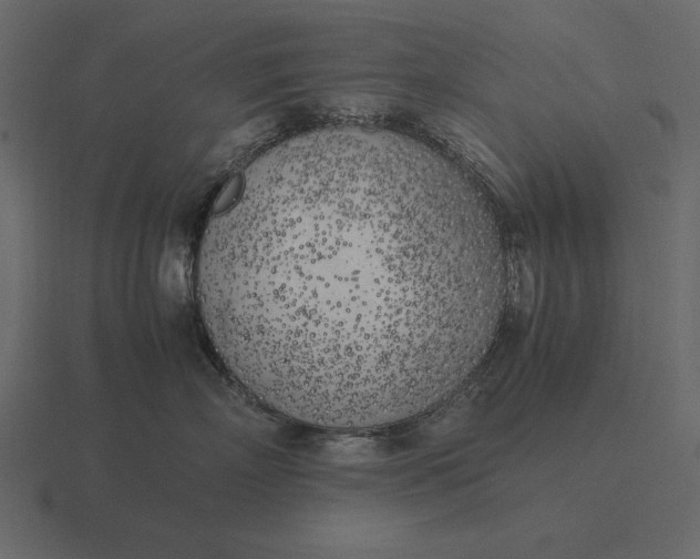 X0000116620718200912241753