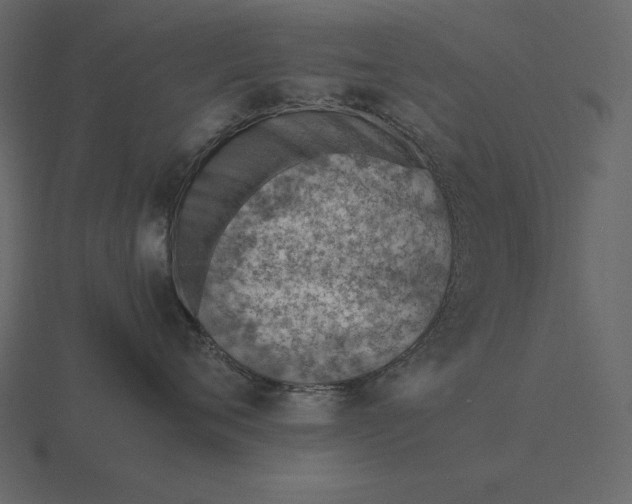 X0000116620720200912241753