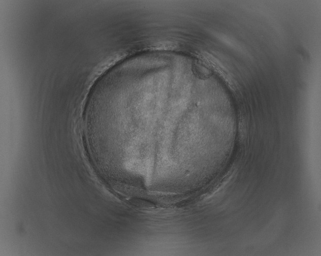 X0000116620721200912241752