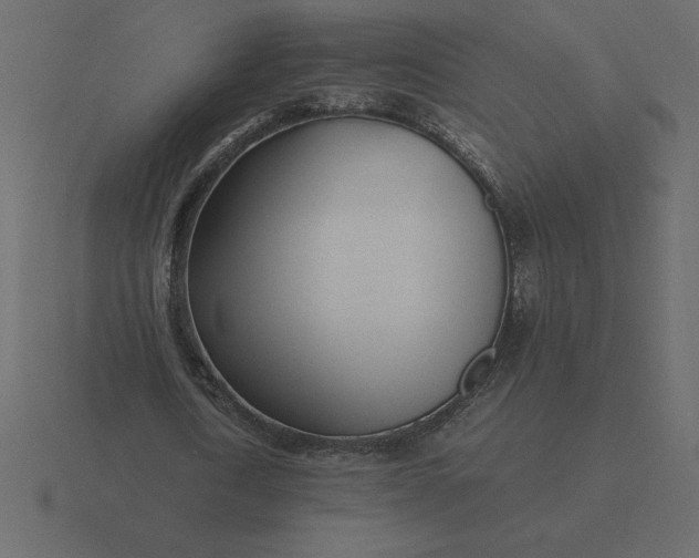 X0000116620722200912241752