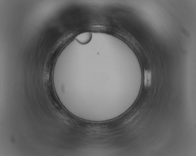 X0000116620723200912241752