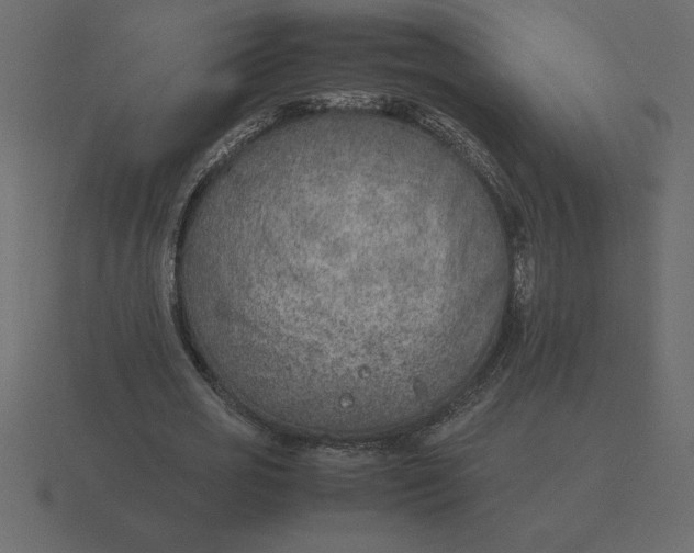 X0000116620725200912241752